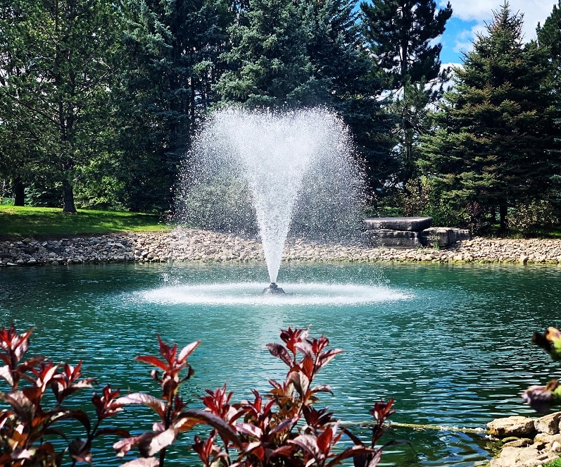 This image is an Aqua Control Crown Gusher floating fountain that is located in a residentail pond and is highlighted in the evening with LED lights.