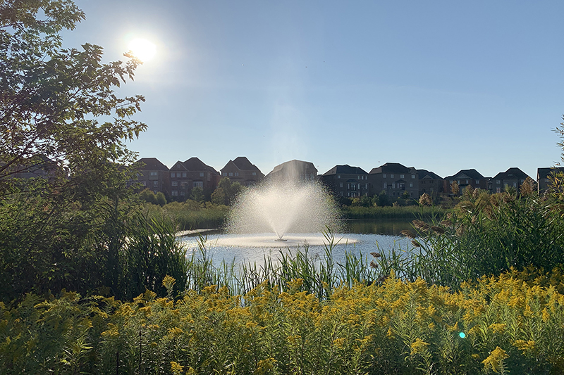 Floating fountain running properly with a full spray pattern after service