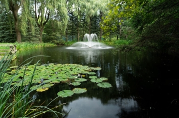 Aqua Control Lily Floating Fountain is only a 1hp to create this dazzling display of water. The Aqua Control Lily floating fountain is a highly visible water feature. Located in a secluded backyard in King Township the Lily fountain offers a full spray pattern with limited power consumption. With the addition of three 250 watt fountain lights the fountain provides beauty during the day and evening.