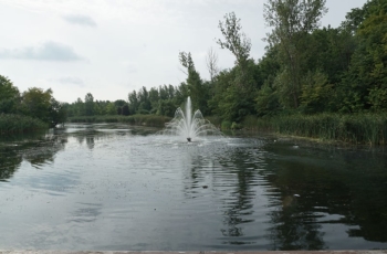 Aqua Control Pentalator Floating Fountain - This 3hp Aqua Control Pentalator floating fountain has been designed into a local municipal water management pond. The pond is part of the Toronto area watershed and has a highly visited population that enjoys the additional landscape.