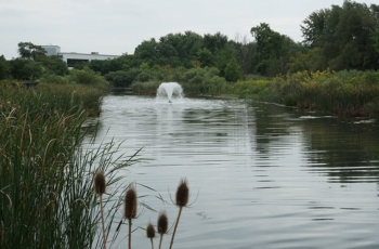 Aqua Control Tornado Floating Fountain - Using only 2hp to power this Aqua Control Tornado floating fountain, the Tornado floating fountain is a highly visible and effective fountain for your pond. This fountain is designed mostly for aeration with a solid v-shaped spray pattern.