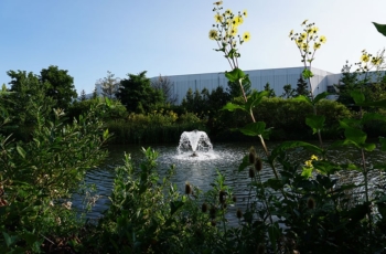 Aqua Control Tornado Floating Fountain - This 1hp Aqua Control Tornado floating fountain is a large addition to a small pond. Provided high levels of aeration to the pond the Aqua Control Tornado floating fountain is a great option for your pond needs.