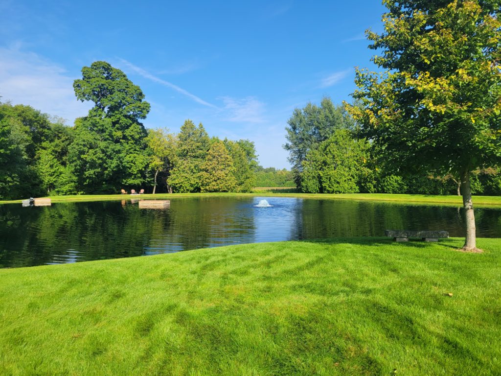 Floating fountain aerating a park pond with open lawn around it