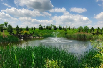 This Aqua Control Lily fountain is the focal point of this pond around a large estate home just outside of the city of Toronto.