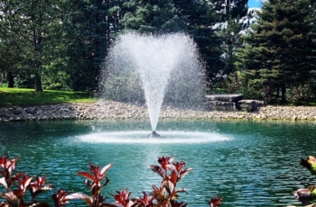 This two horsepower Aqua Control floating fountain is situated in a residential pond with blue pond dye surrounded by beautiful plants