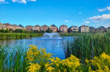 The Kasco Marine VFX series fountain allows for a large volume of water to be moved and adds a sense of beauty to this natural setting around a storm retainment pond.