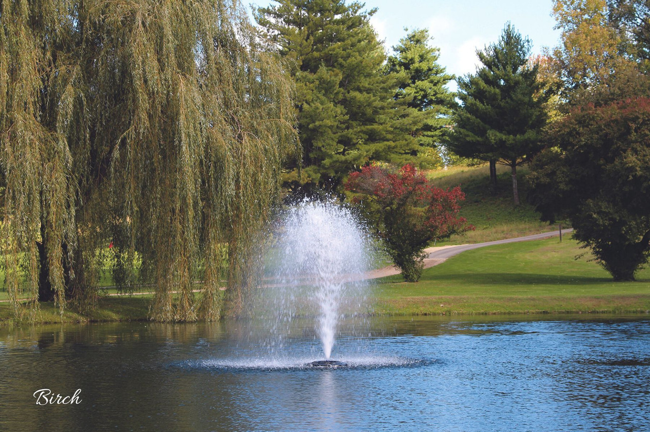 SEQUOIA - Image 5