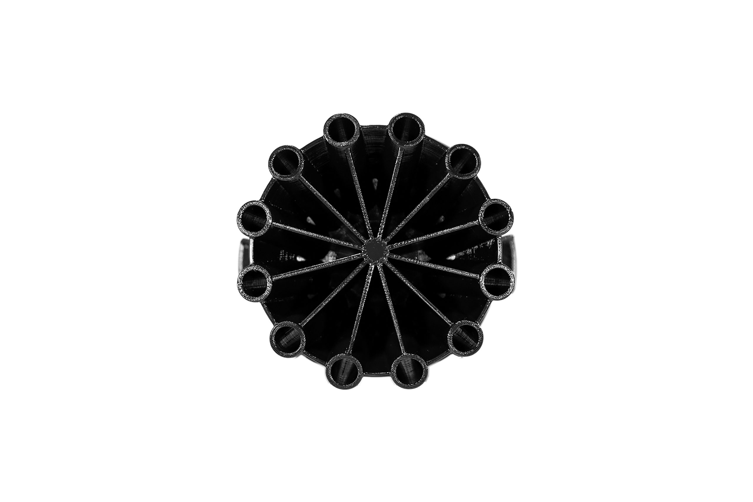 PALM - Image 17